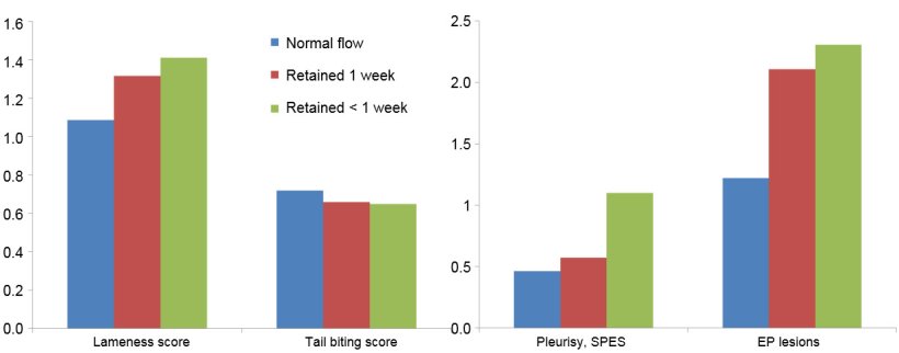 Figure 2. Prevalence of lesions in slaughterhouse for the 3 flows of animals described.
