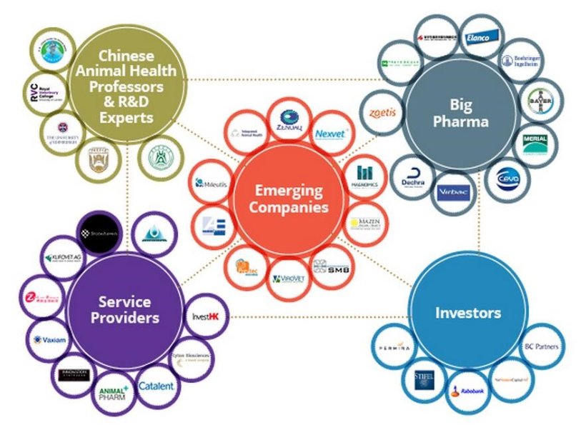 Animal Health Investment Asia – Companies