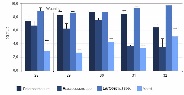 Average number of bacteria contained in piglets caeca at different stages after weaning

&nbsp;
