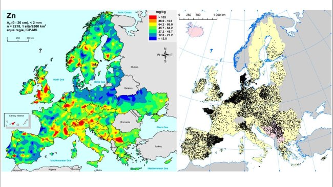 Left: Zinc in EU agricultural soils (Gemas 2014): Top soil zinc levels (top 20cm) in agricultural land in Europe (Taken from Reimann et al., 2014).
Right: EU sow herds (Eurostat, 2014).