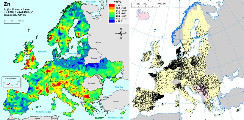 Left: Zinc in EU agricultural soils (Gemas 2014): Top soil zinc levels (top 20cm) in agricultural land in Europe (Taken from Reimann et al., 2014).

Right: EU sow herds (Eurostat, 2014).
