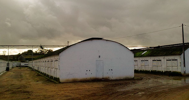 farm
