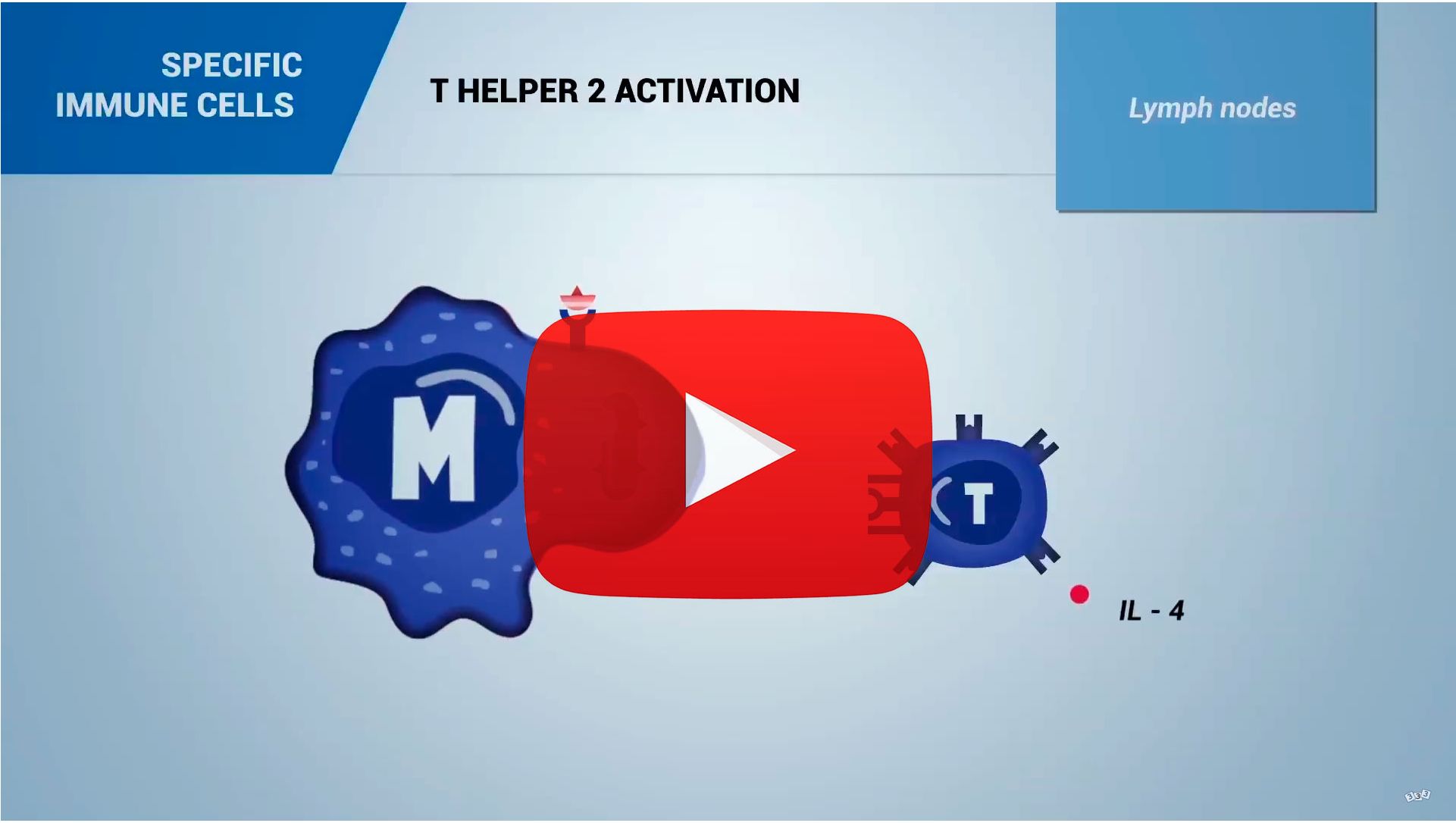 Immunology video