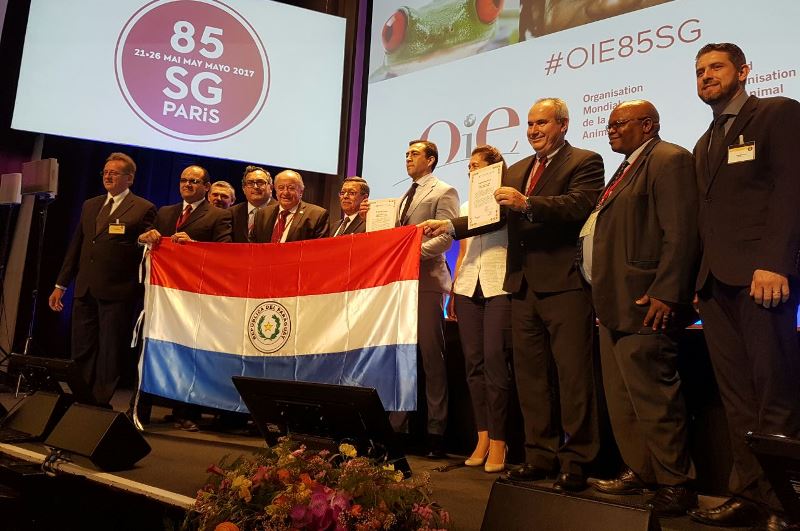 Paraguay free of foot-and-mouth disease and csf 1