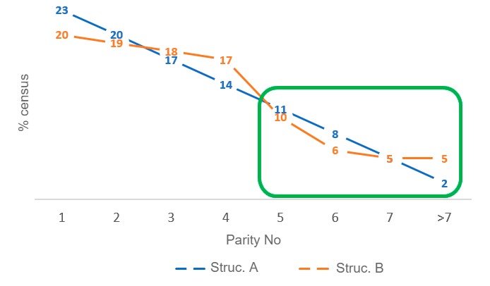 Figure&nbsp;4. Differences in old sow rates between herd census structures A and B.
