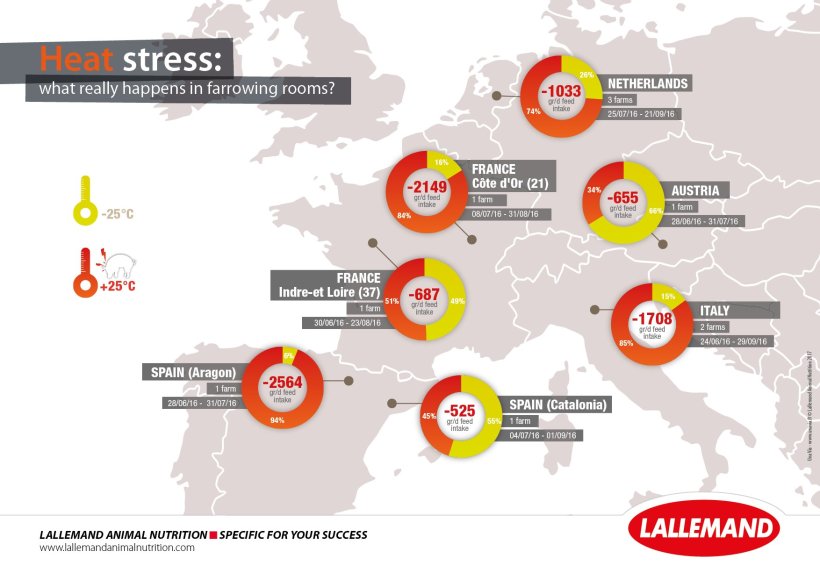 Survey of heat stress risks in farrowing rooms in Europe. Average daily percentage of time spent above 25°C (significant heat stress) and estimation of the associated feed intake reduction (Lallemand Animal Nutrition internal data, 2016).