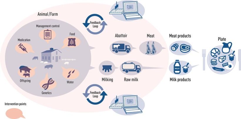 Blood samples taken at the abattoir are tested for antibodies against zoonotic pathogens. The results are fed back to the producer and, if needed, corrective measures can be taken at the intervention points. Success is then monitored in every batch delivered to the slaughterhouse. This comprehensive approach supports continuous improvement of the value chain.