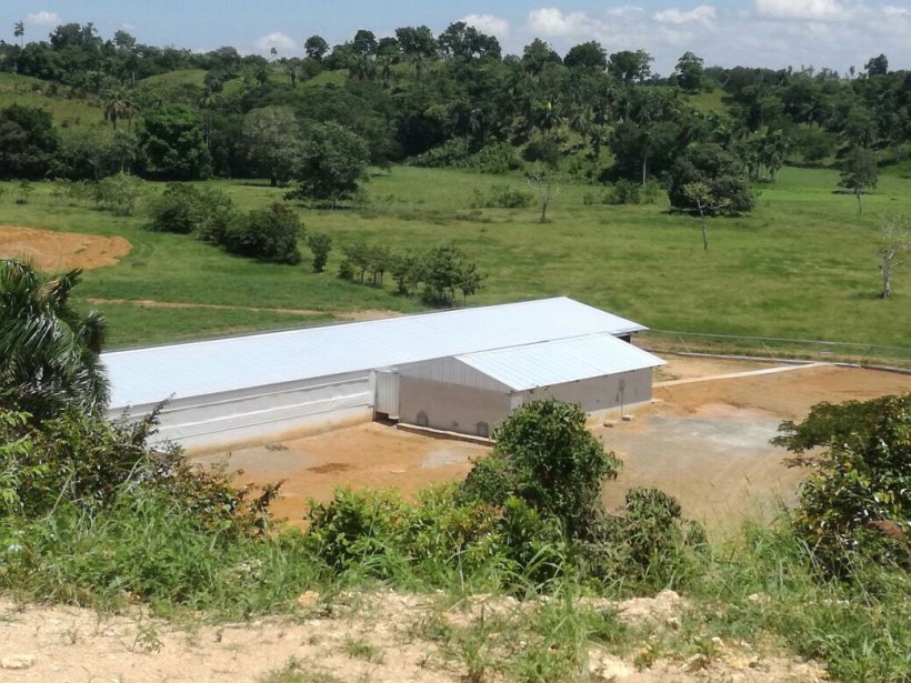 Nugeporc in the Dominican Republic
