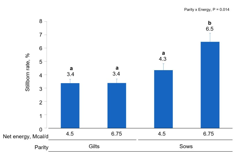 Figure 2. Effects of different energy intake levels fed from d 90 to d 111 of gestation on stillborn rate of gilts and sows. Means with a different superscript within parity level differ (P < 0.05).