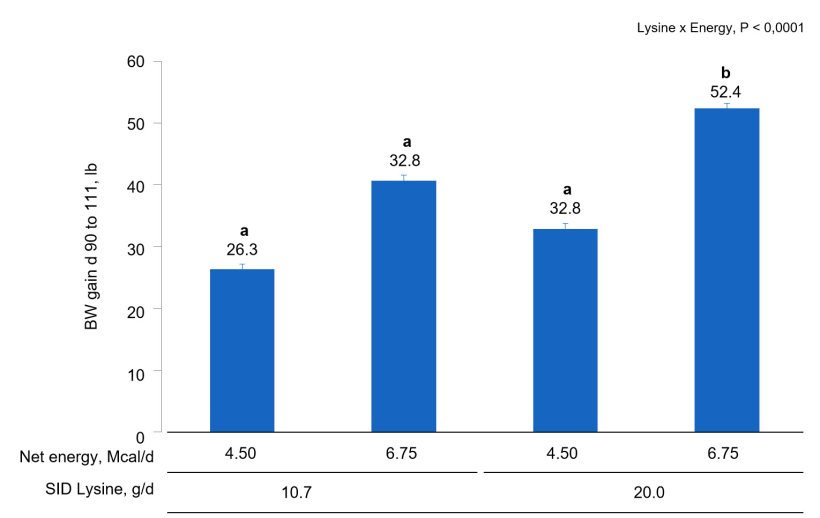 Figure 1A. Effects of different lysine and energy intake levels fed from d 90 to d 111 of gestation on BW gain of gilts and sows. Means with a different superscript within SID Lys level differ (P < 0.05).