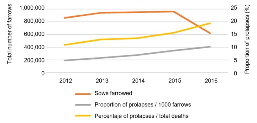 Fig 1. Total number of farrowings in the analysis and proportion of sow prolapses over time over 1000 farrows or over the total number of deaths in the farms.
