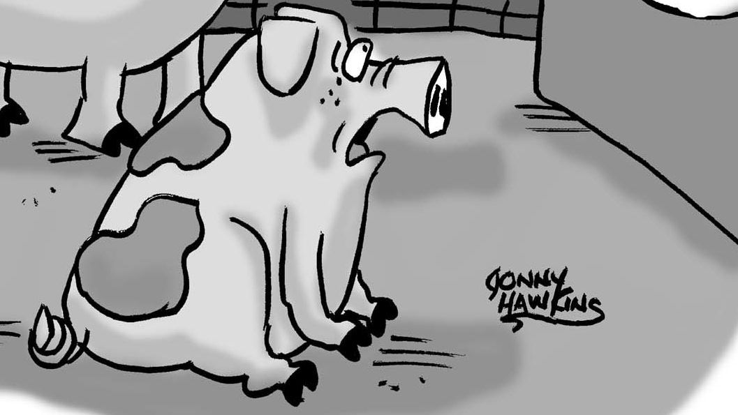 Flashlight pig