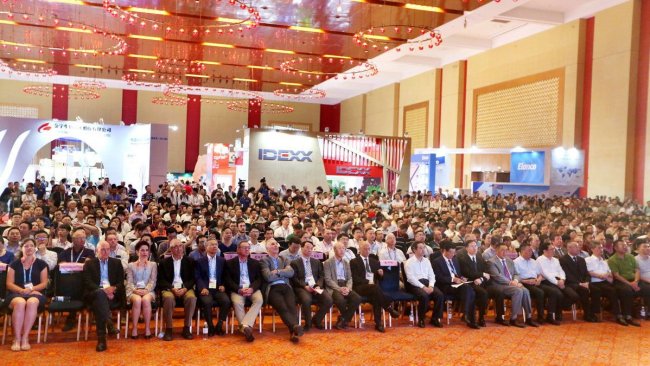 The opening ceremony of the 25th IPVS Congress.