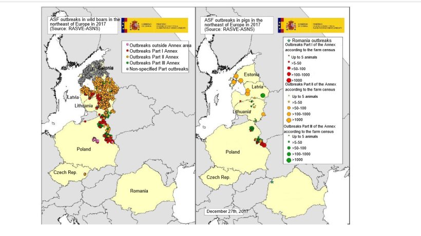 Map of the outbreaks declared in Estonia, Latvia, Lithuania, Poland, the Czech Rep. and Romania in 2017 (Source: RASVE-ADNS)