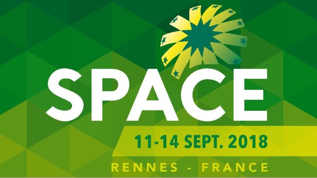space