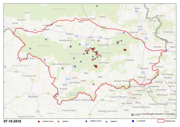 Delimitation of the infected area (IA) established in the south of Belgium and location of the positive and negative results obtained from the wild boars tested (source: AFSCA, on October 7th, 2018)
