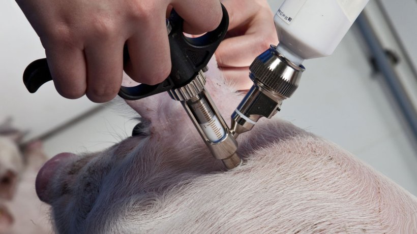 Injected intramuscularly, the new swine flu vaccine has been used successfully in Germany to provide protection against the pandemic flu strain.