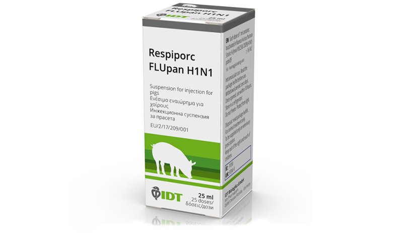 Respiporc FLUpanH1N1 swine flu vaccine, which is being launched in the UK.