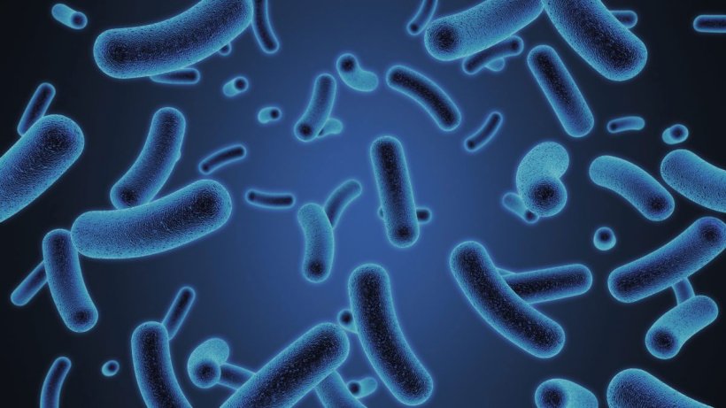 Signis - a breakthrough dual action product, designed to accelerate the development of a fibre-degrading microbiome - has been launched by AB Vista at the IPPE Expo in Atlanta, USA.
