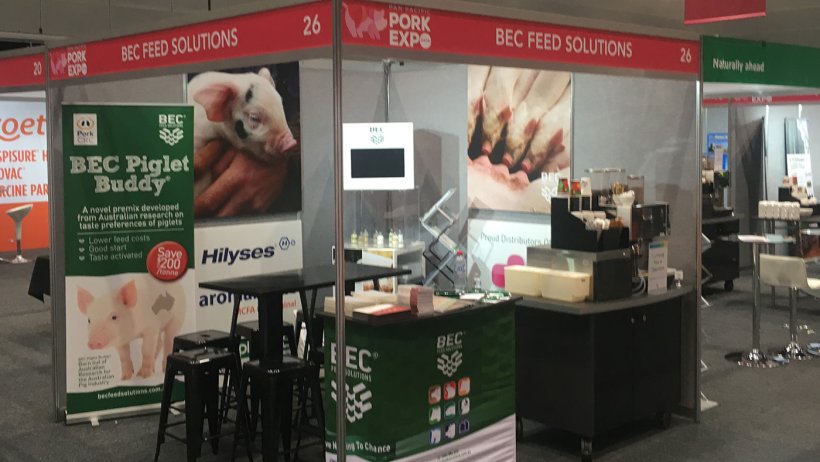 Piglet Buddy is an appetite and feed intake enhancer developed out of Pork CRC Program Two and now marketed by BEC.