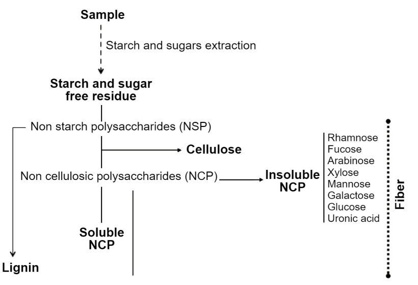 Figure 1. Determination of nonstarch polysaccharides, lignin, and fiber by enzymatic-chemical procedure. Knudsen (2014)
