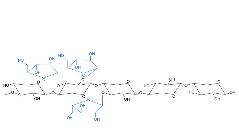 Figure 3. Chemical structure of arabinoxylans. The arabinose branches and their distribution vary depending on the cereals and between varieties of a cereal.
