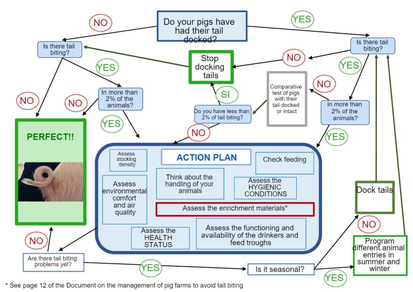 Decision-making tree on tail docking produced by ANPROGAPOR
