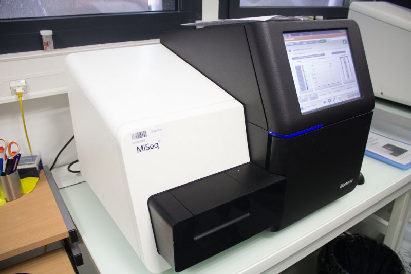 High-troughput sequencing platform at INRA in Toulouse, France, used in the study
