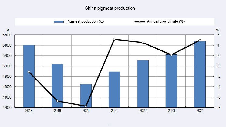 China: pork production drops by 5.5% - Swine news - pig333, pig to pork ...