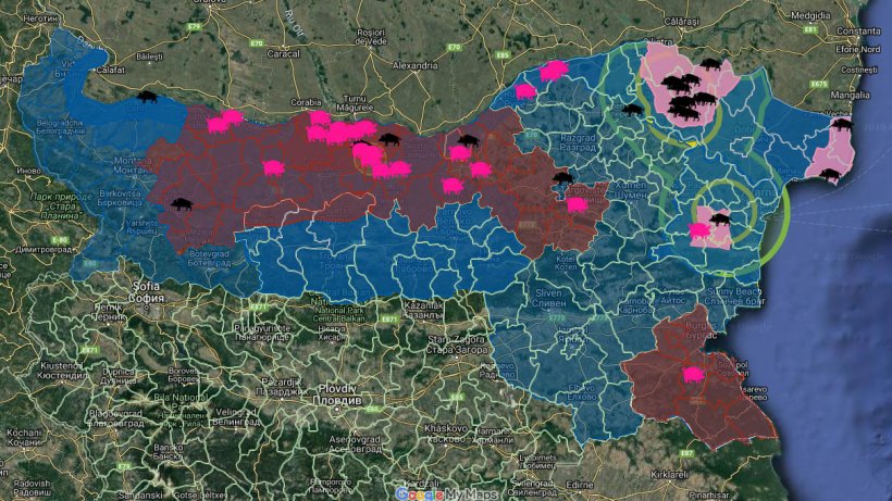 Total ASF outbreaks in Bulgaria
