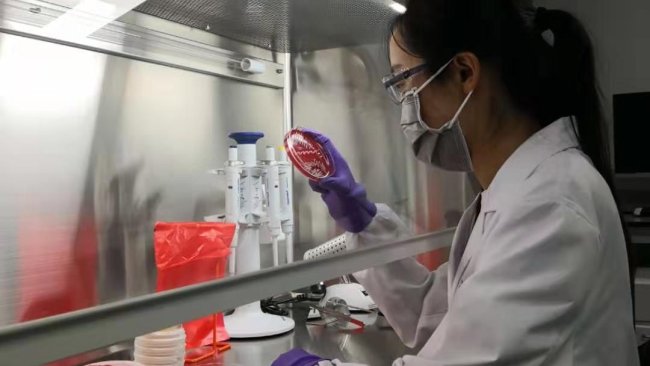 Boehringer Ingelheim Animal Health