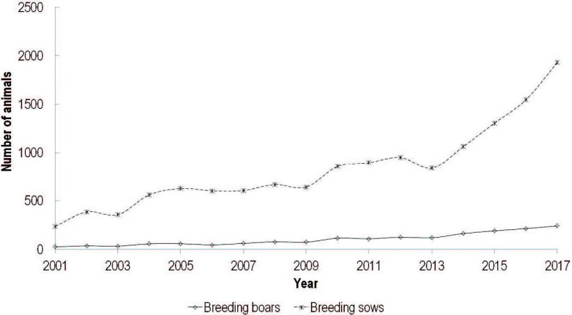 Figure 1. Census of Black Slavonian pig breed, presenting number of sows and boars per year.
