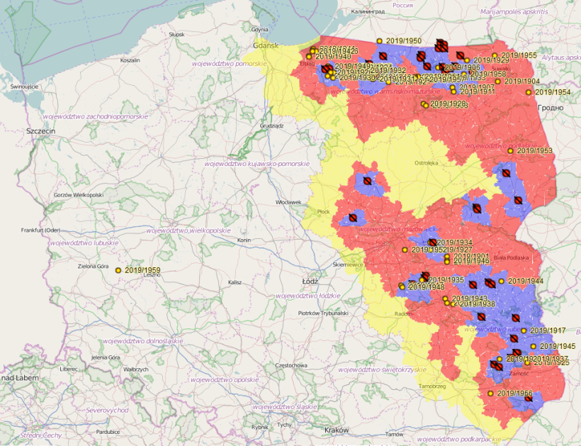 Outbreaks and cases of ASF in Poland in 2019.