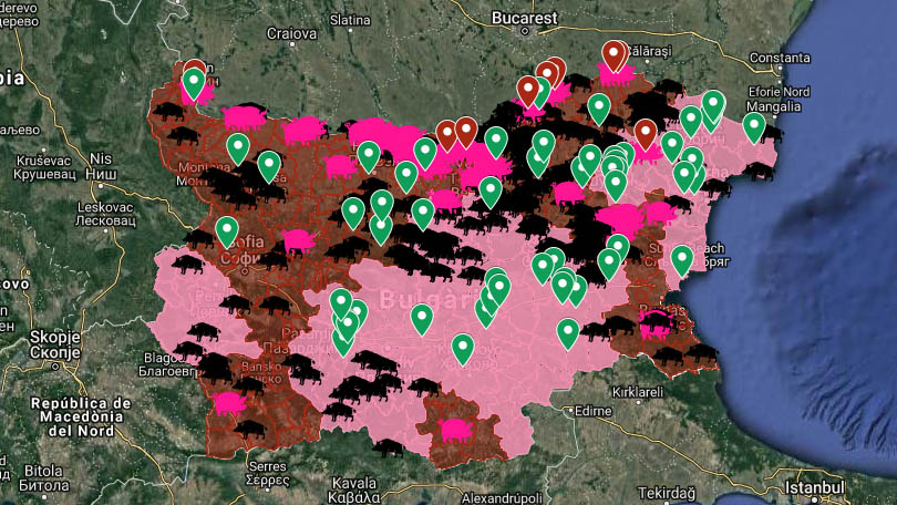 ASF outbreaks in domestic pigs since the beginning of the epidemic in August 2018.
