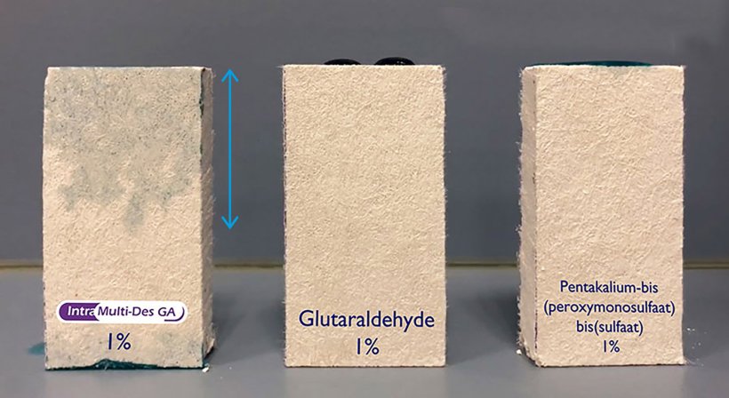 Figure 2. The droplet dispersion and penetration properties of 1% Intra Multi-Des GA, 1% glutaraldehyde and 1% of the control product into a porous material. The blue arrow indicates the large penetration distance of Intra Multi-Des GA.