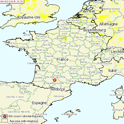 Outbreak of Aujeszky's disease in pigs in Haute-Garonne.