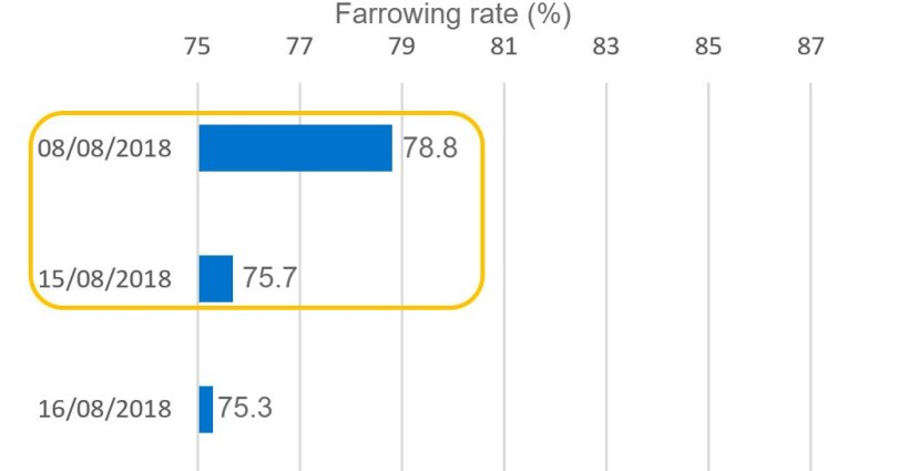 Graph 4. Farrowing rate associated with&nbsp;the breedings done around the Feast of the Assumption (August 15th).
