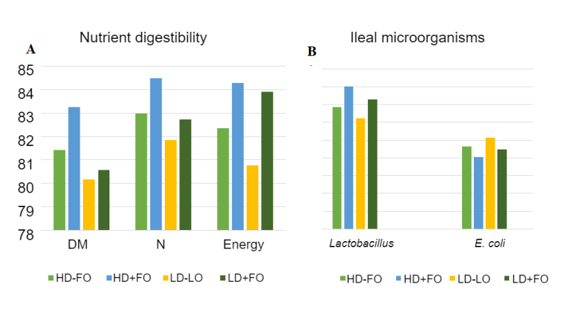 Figure 2:&nbsp;Effects of fermented oats in different nutrient-density diets on apparent total tract digestibility (ATTD) and ileal microorganisms in weanling pigs.

