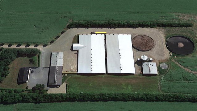 Site 1: 1200 sows, farrow to wean.
