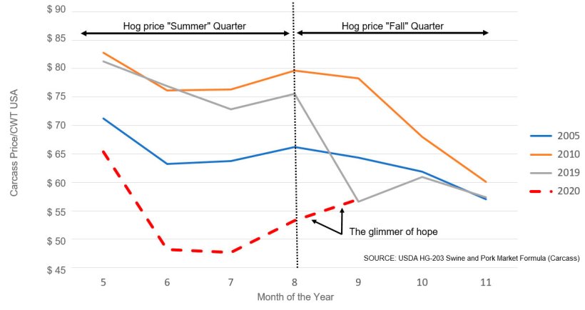 Figure: Fall Quarter Hog Price Trend Following Counter Seasonal Summer (since 2001, counter seasonal summer only occurred in 2005, 2010, 2019, 2020)
