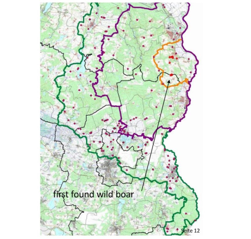 The following map shows the boundaries of the core zone (orange), infected zone (purple) and buffer zone (green) as well as the location of the found cases of wild boar (asterisk) and the pig farms (red dots). Source: MAPA.
