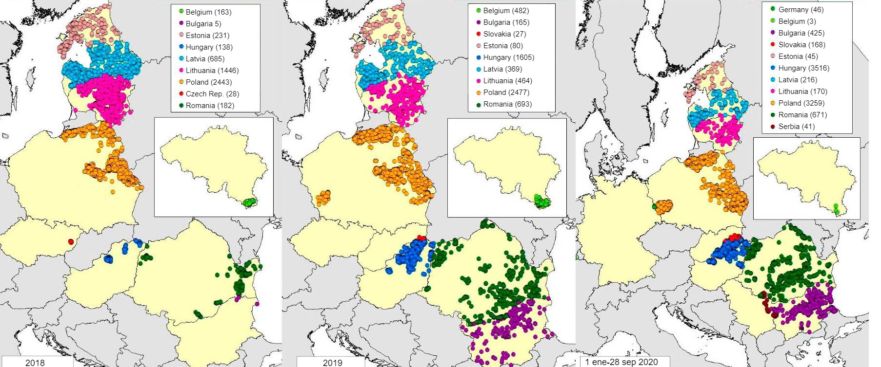 Current ASF situation in the European Union - Swine news - pig333, pig ...