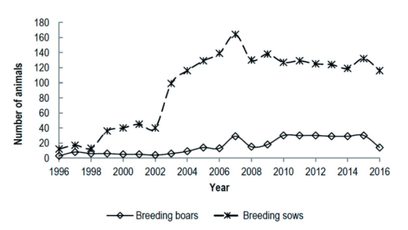 Figure 1. Census of Turopolje pig breed, presenting number of sows and boars per year, starting with the year of heard book establishment.
