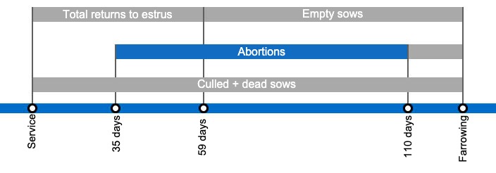 Types of gestation losses that can lower the farrowing rate, detailing the different types of returns to estrus based on when they occur.
