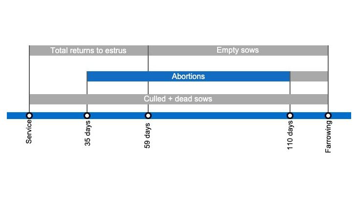 Types of gestation losses that can lower the farrowing rate, detailing the different types of returns to estrus based on when they occur.
