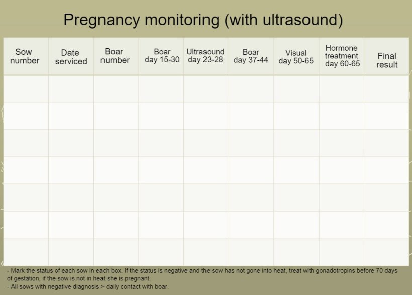 Gestation monitoring
