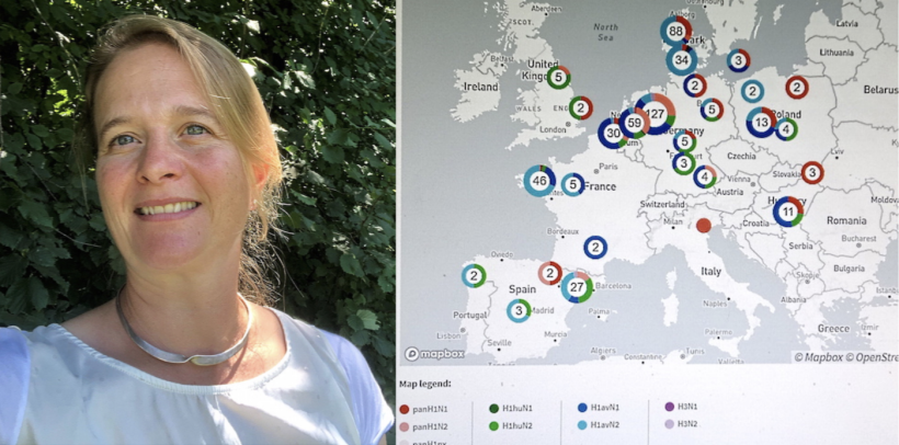Right: Dr. Kathrin Lillie-Jaschniski. Left: Iteractive map shows European countries where different strains of swine flu have been diagnosed.