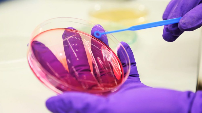 Fixed Phage&rsquo;s innovative and patented solution has wide-ranging potential.
