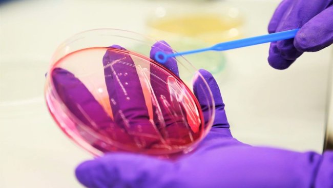 Fixed Phage’s innovative and patented solution has wide-ranging potential.