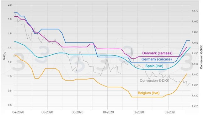 Graph 2. Evolution of pig prices in Germany, Spain, Denmark, and Belgium.